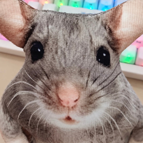 Rata