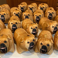 Hangry Doggy