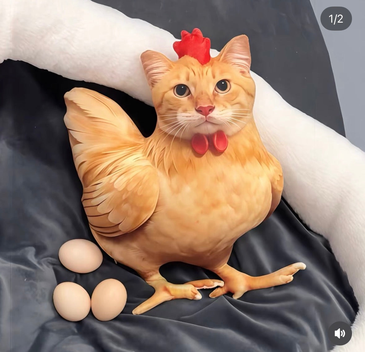 Chicken Cat