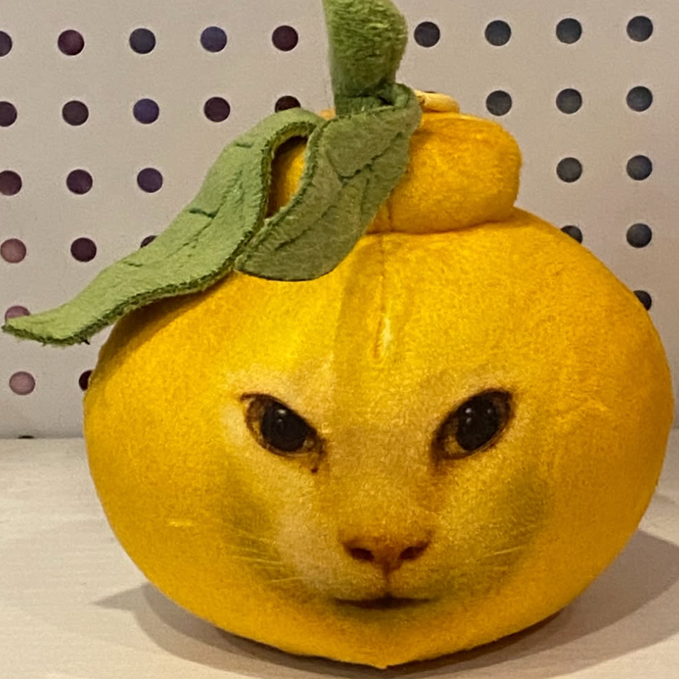 Lemon Cat