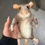 Rata